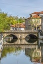 View of the downtown area of Viseu with Pavia river